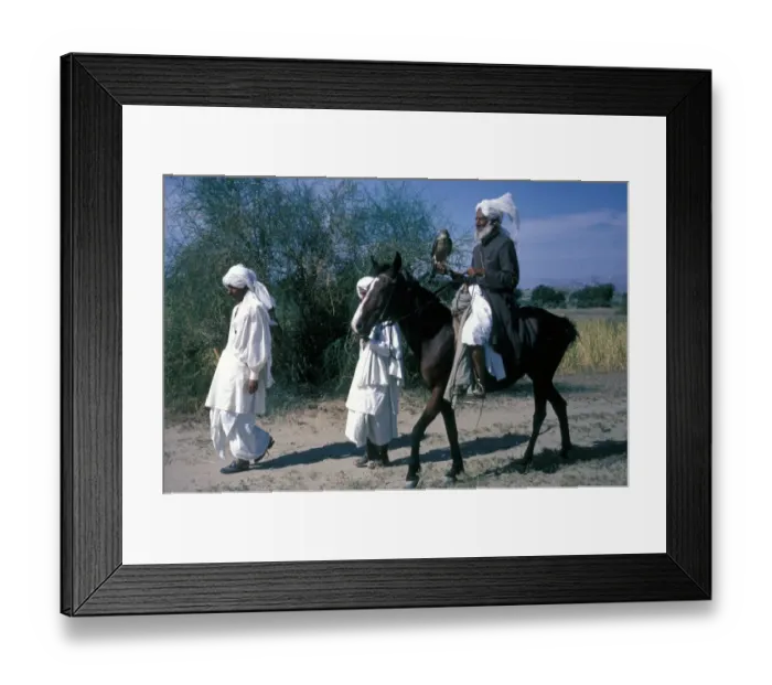 Framed Print : Sports & Pastimes Falconry / Pakistan Falconer holding Goshawk riding a horse / with trainers Framed Print : Sports & Pastimes Falconry / Pakistan Falconer holding Goshawk riding a horse / with trainers