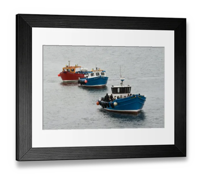 Framed Print : Three tour boats, queueing up to take birdwatchers out to islands, Farne Islands, Northumberland, England, may