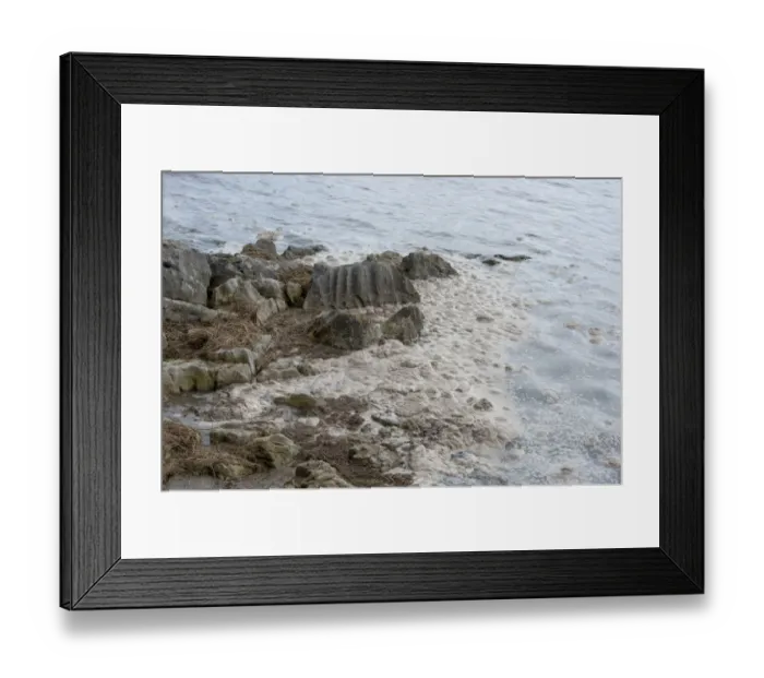 Framed Print : Eutrophic scum on water, Morecambe Bay, Grange over Sands, Cumbria, England, march Framed Print : Eutrophic scum on water, Morecambe Bay, Grange over Sands, Cumbria, England, march