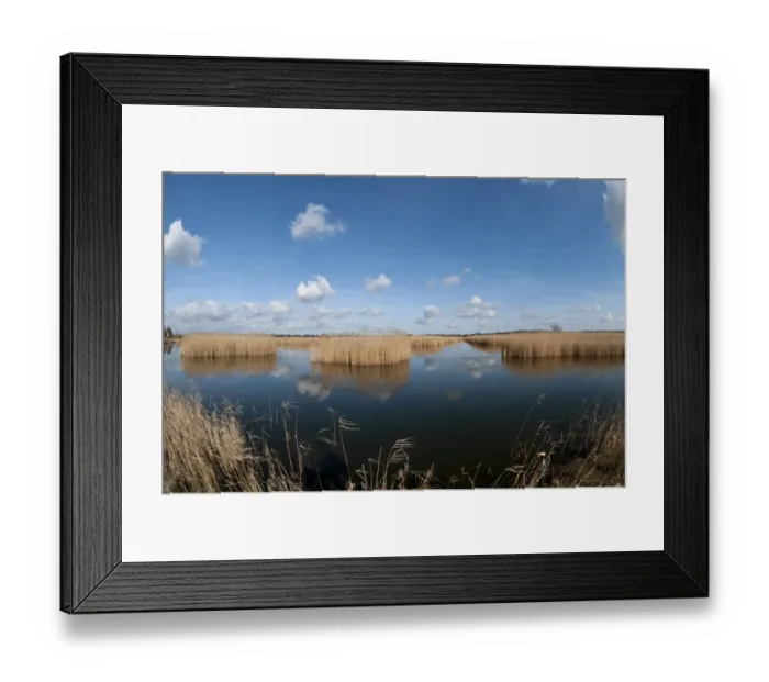 Framed Print : View of open water and reedbed habitat, Strumpshaw Fen RSPB Reserve, River Yare, The Broads N. P Framed Print : View of open water and reedbed habitat, Strumpshaw Fen RSPB Reserve, River Yare, The Broads N. P