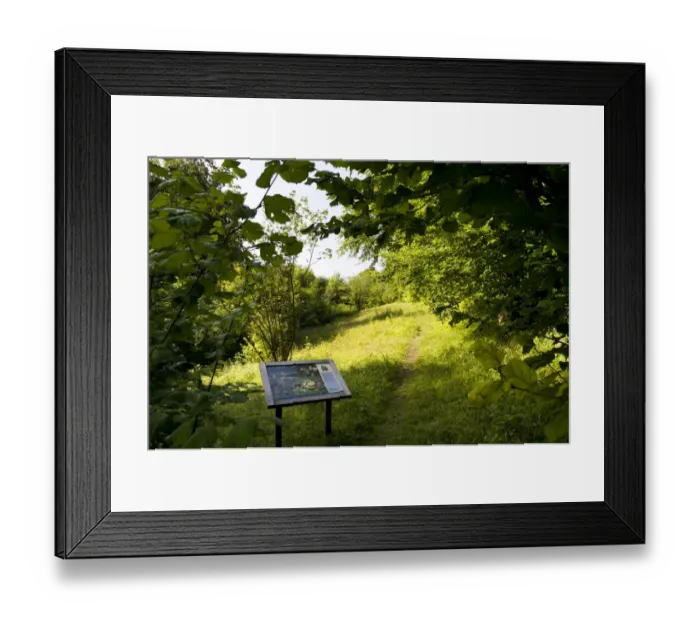 Framed Print : Woodland and downland habitat with information board, Charles Darwins Orchis Bank, Downe Bank Nature Reserve Framed Print : Woodland and downland habitat with information board, Charles Darwins Orchis Bank, Downe Bank Nature Reserve