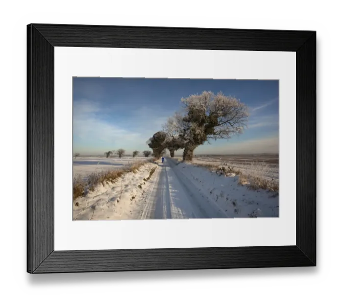 Framed Print : View of snow and frost covered farmland, rural lane with walker and oak trees, near Metton, Norfolk, England, december Framed Print : View of snow and frost covered farmland, rural lane with walker and oak trees, near Metton, Norfolk, England, december