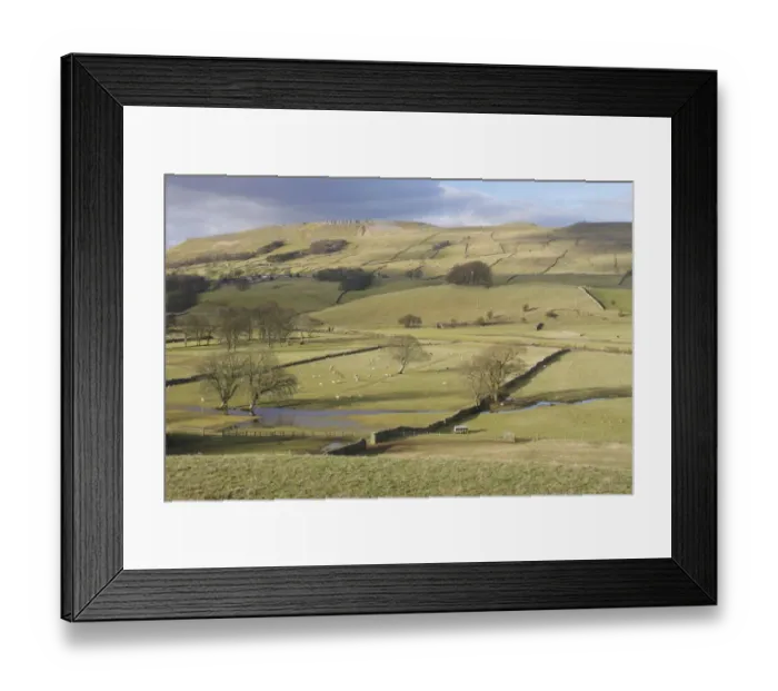 Framed Print : View of pasture with sheep, drystone walls, bare trees and floodwater in valley bottom, River Ure, Burtersett Framed Print : View of pasture with sheep, drystone walls, bare trees and floodwater in valley bottom, River Ure, Burtersett