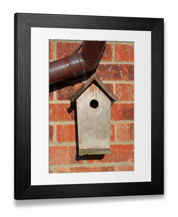 Framed Print : Wooden tit nestbox, attached to brick wall in garden, Mendlesham, Suffolk, England, january Framed Print : Wooden tit nestbox, attached to brick wall in garden, Mendlesham, Suffolk, England, january