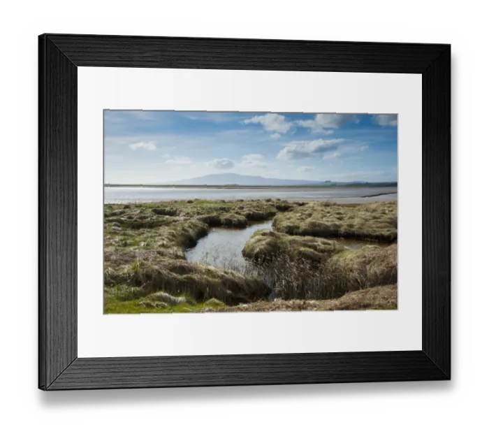 Framed Print : View of estuary habitat, Solway Firth, Caerlaverock National Nature Reserve, Ruthwell, Dumfries and Galloway, Scotland