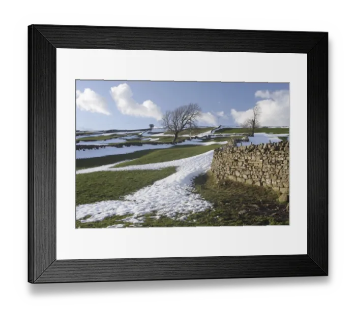 Framed Print : View of drystone walls and bare trees on hillside with melting snow, Reeth, Swaledale, Yorkshire Dales N. P