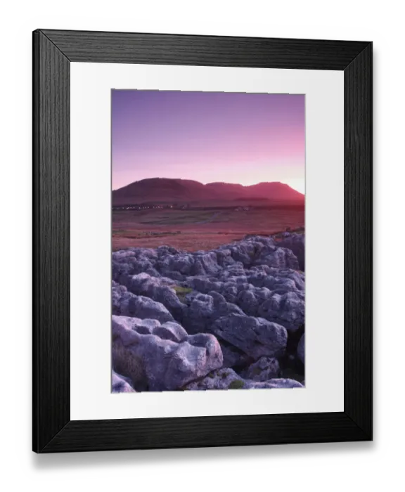Framed Print : View of Ingleborough at sunset, from limestone pavement at Ribblehead, Ribblesdale, Yorkshire Dales N. P Framed Print : View of Ingleborough at sunset, from limestone pavement at Ribblehead, Ribblesdale, Yorkshire Dales N. P