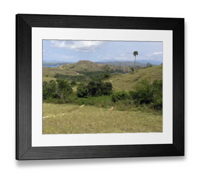 Framed Print : View of coastal habitat, Komodo N. P. Rinca Island, Lesser Sunda Islands, Indonesia, march