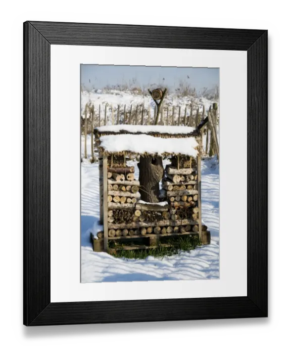 Framed Print : Bug hotel covered in snow, Crossness Nature Reserve, Bexley, Kent, England, february Framed Print : Bug hotel covered in snow, Crossness Nature Reserve, Bexley, Kent, England, february