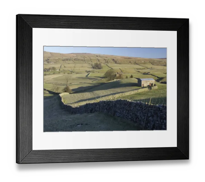 Framed Print : View of drystone walls, pasture, stone barns and bare trees, Burtersett, Wensleydale, Yorkshire Dales N. P Framed Print : View of drystone walls, pasture, stone barns and bare trees, Burtersett, Wensleydale, Yorkshire Dales N. P