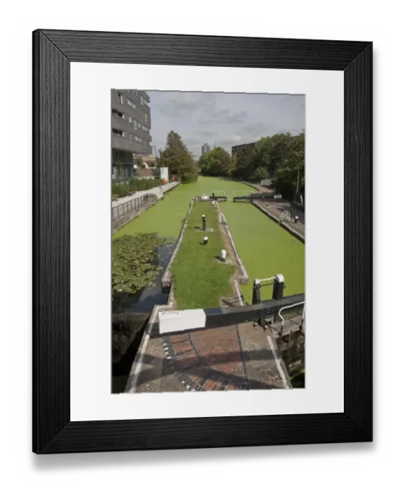 Framed Print : Lockgates with canal covered in green algae, Salmon Lane Lock, Regents Canal, Tower Hamlets, London, England, september