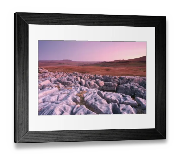 Framed Print : View of limestone pavement at twilight, looking from Ribblehead towards Pen-Y-Ghent, Ribblesdale, Yorkshire Dales N. P Framed Print : View of limestone pavement at twilight, looking from Ribblehead towards Pen-Y-Ghent, Ribblesdale, Yorkshire Dales N. P