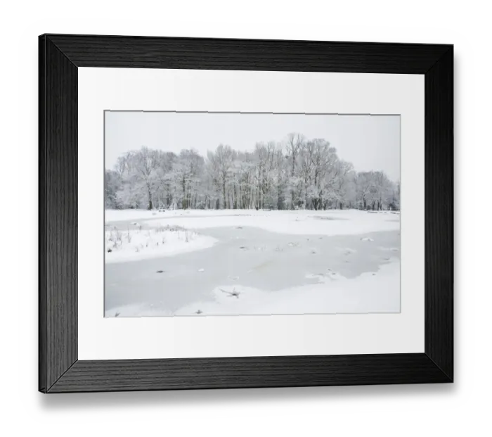 Framed Print : View of frozen pond with roosting gulls, snow covered woodland in background, Brentwood, Essex, England, february Framed Print : View of frozen pond with roosting gulls, snow covered woodland in background, Brentwood, Essex, England, february