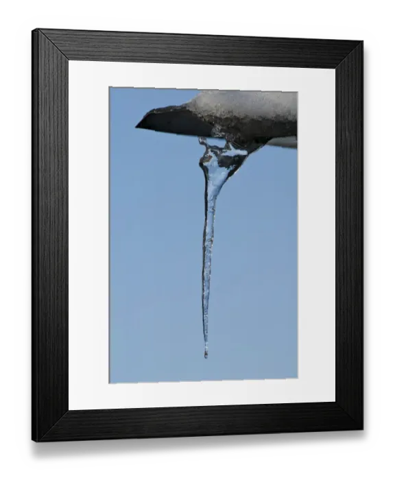Framed Print : Icicle hanging from hide, Sevenoaks Wildlife Reserve, Kent, England, december Framed Print : Icicle hanging from hide, Sevenoaks Wildlife Reserve, Kent, England, december