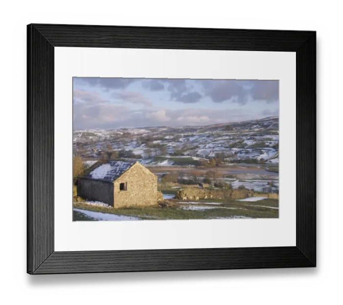 Framed Print : View of stone barn, drystone walls, lambs, trees and River Swale in vallley bottom after snowfall, Reeth, Swaledale Framed Print : View of stone barn, drystone walls, lambs, trees and River Swale in vallley bottom after snowfall, Reeth, Swaledale