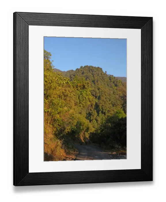 Framed Print : Densly forested hillside low down in hills, Mishmi Hills, Arunachal Pradesh, India, january Framed Print : Densly forested hillside low down in hills, Mishmi Hills, Arunachal Pradesh, India, january