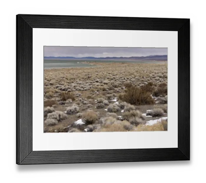 Framed Print : Desert chaparral habitat at edge of saline lake, Mono Lake, Lee Vining, California, U. S. A. february