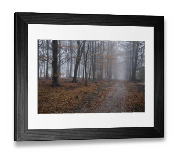 Framed Print : Bridleway in deciduous woodland shrouded with freezing fog, Gilling Wood, near Ampleforth, North Yorkshire, England Framed Print : Bridleway in deciduous woodland shrouded with freezing fog, Gilling Wood, near Ampleforth, North Yorkshire, England