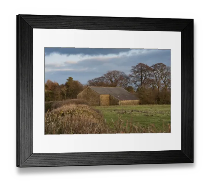 Framed Print : View of stone barn and pasture in evening sunlight, Chipping, Lancashire, England, february Framed Print : View of stone barn and pasture in evening sunlight, Chipping, Lancashire, England, february
