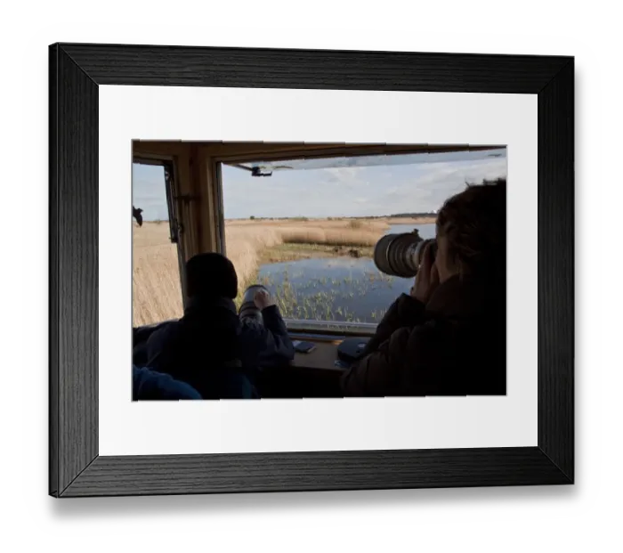 Framed Print : The New Island Mere hide at RSPB Minsmere, bird photographs photographing bittern well hidden in reed beds Framed Print : The New Island Mere hide at RSPB Minsmere, bird photographs photographing bittern well hidden in reed beds