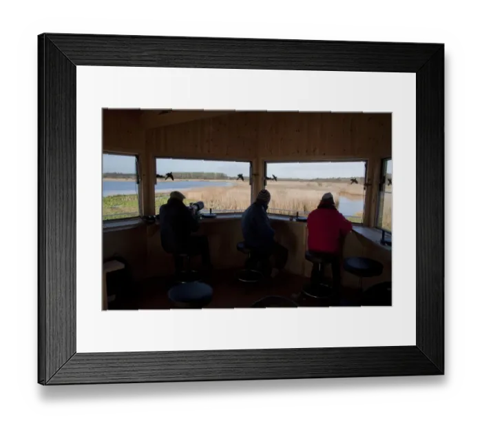 Framed Print : The New Island Mere hide at RSPB Minsmere, people looking west over reed beds Framed Print : The New Island Mere hide at RSPB Minsmere, people looking west over reed beds