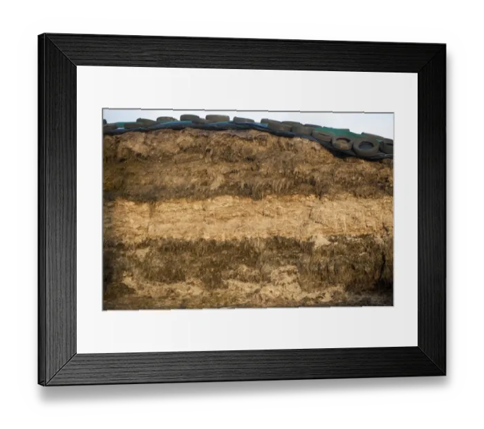 Framed Print : Face of silage clamp, showing different layers of crop, England, november Framed Print : Face of silage clamp, showing different layers of crop, England, november