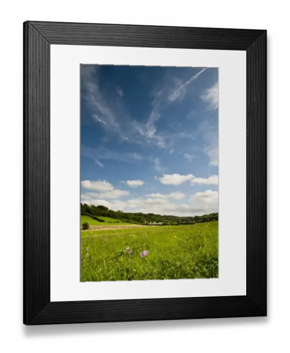Framed Print : View of wildflower meadow habitat, between Cudham and Downe, North Downs, Kent, England, august Framed Print : View of wildflower meadow habitat, between Cudham and Downe, North Downs, Kent, England, august