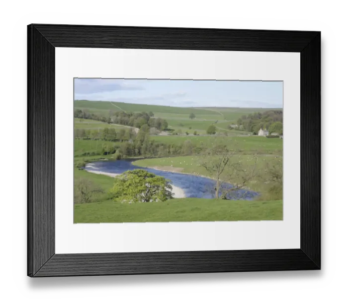 Framed Print : View of River Wharfe snaking through valley bottom, grazing sheep in pasture, trees and hillside, Burnsall, Wharfedale Framed Print : View of River Wharfe snaking through valley bottom, grazing sheep in pasture, trees and hillside, Burnsall, Wharfedale