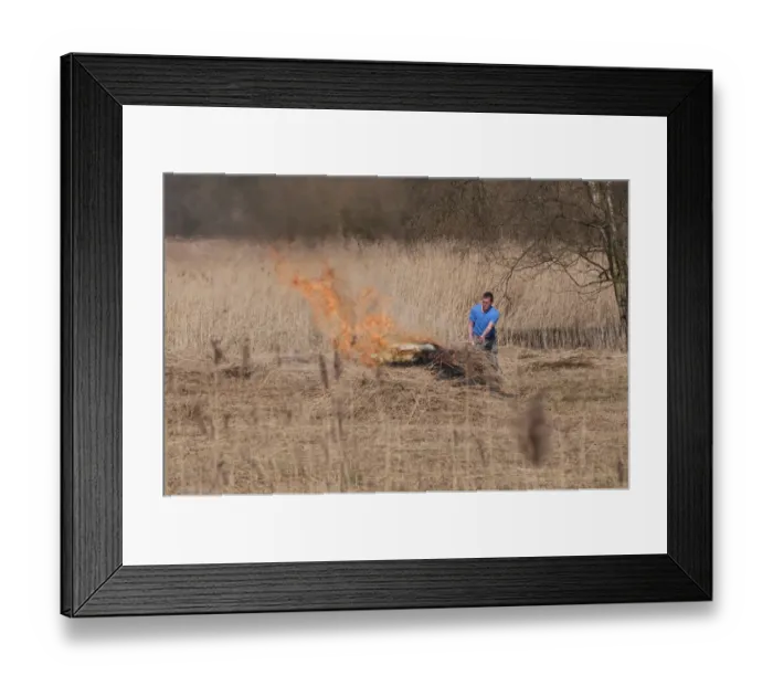 Framed Print : Burning cut reeds in reedbed habitat, How Hill, River Ant, The Broads N. P. Norfolk, England, march Framed Print : Burning cut reeds in reedbed habitat, How Hill, River Ant, The Broads N. P. Norfolk, England, march