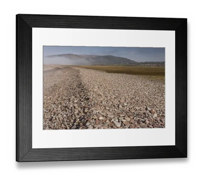 Framed Print : View of shingle bank spreading inland as sea levels rise, with saltmarsh habitat developing behind it Framed Print : View of shingle bank spreading inland as sea levels rise, with saltmarsh habitat developing behind it