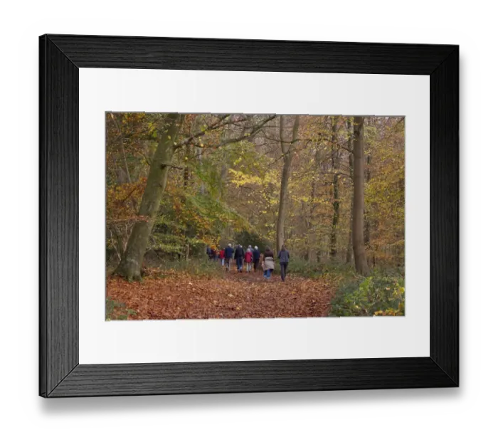 Framed Print : Group of walkers in woodland, near Eartham, West Sussex, England, november
