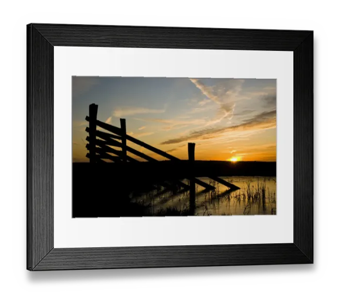 Framed Print : Fencing silhouetted in marshland habitat at sunrise, Elmley National Nature Reserve, North Kent Marshes Framed Print : Fencing silhouetted in marshland habitat at sunrise, Elmley National Nature Reserve, North Kent Marshes