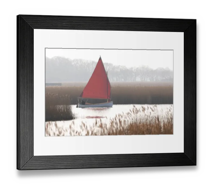 Framed Print : Sailing boat on open water beside reedbed, Hickling Broad, River Thurne, The Broads N. P. Norfolk, England, march Framed Print : Sailing boat on open water beside reedbed, Hickling Broad, River Thurne, The Broads N. P. Norfolk, England, march