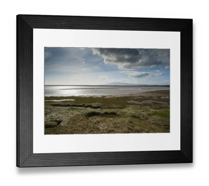 Framed Print : View of estuary habitat, Solway Firth, Caerlaverock National Nature Reserve, Ruthwell, Dumfries and Galloway, Scotland Framed Print : View of estuary habitat, Solway Firth, Caerlaverock National Nature Reserve, Ruthwell, Dumfries and Galloway, Scotland