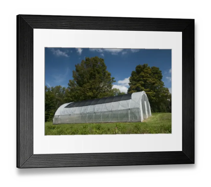 Framed Print : Plastic polytunnel for growing market vegetables, Pennsylvania, U. S. A. september Framed Print : Plastic polytunnel for growing market vegetables, Pennsylvania, U. S. A. september