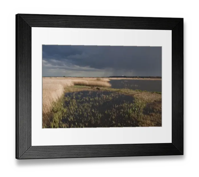 Framed Print : Looking south over storm clouds from Island Mere Hide at RSPB Minsmere. Sizewell Nuclear power station in far distance Framed Print : Looking south over storm clouds from Island Mere Hide at RSPB Minsmere. Sizewell Nuclear power station in far distance