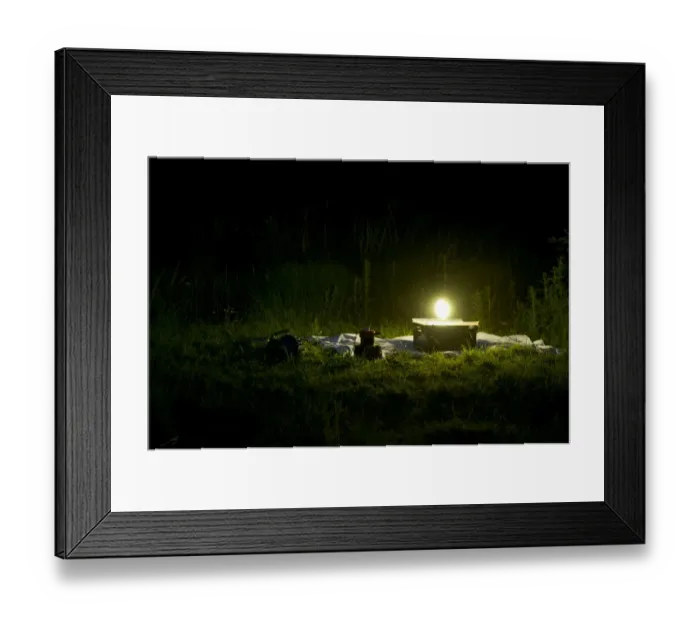 Framed Print : Mercury vapour moth trap on white sheet amongst low vegetation at night, Priory Water Nature Reserve, Leicestershire