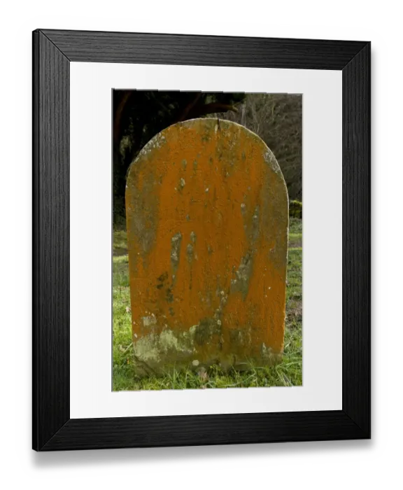 Framed Print : Green Alga (Trentepohlia aurea) orange filamentous alga growing on old gravestone in churchyard, Culbone, Exmoor Framed Print : Green Alga (Trentepohlia aurea) orange filamentous alga growing on old gravestone in churchyard, Culbone, Exmoor