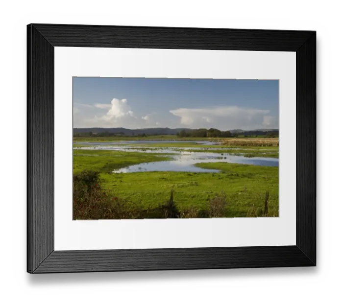 Framed Print : View of wetland habitat, Pulborough Brooks RSPB Reserve, West Sussex, England, november Framed Print : View of wetland habitat, Pulborough Brooks RSPB Reserve, West Sussex, England, november
