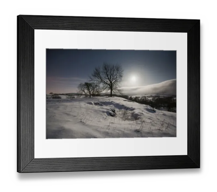 Framed Print : Trees and snow by moonlight at night, Dinkling Green Farm, Whitewell, Clitheroe, Lancashire, England, february