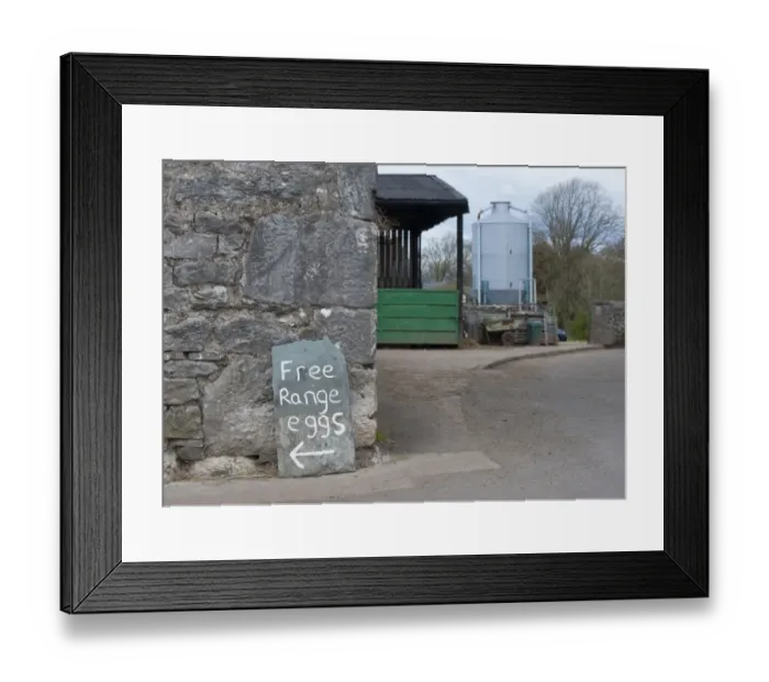 Framed Print : Free Range Eggs sign in farmyard, Gibralta Farm, Silverdale, Lancashire, England, april Framed Print : Free Range Eggs sign in farmyard, Gibralta Farm, Silverdale, Lancashire, England, april