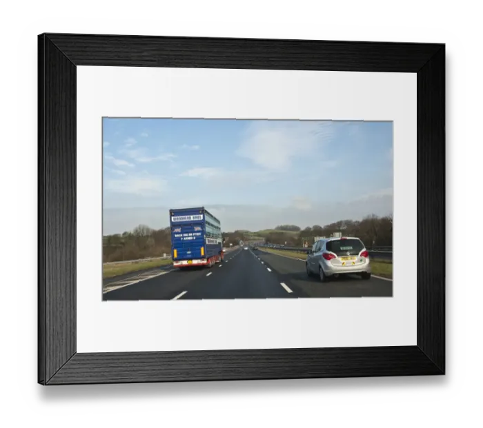 Framed Print : Livestock lorry driving on motorway, M6 Motorway, Lancaster, Lancashire, England, march Framed Print : Livestock lorry driving on motorway, M6 Motorway, Lancaster, Lancashire, England, march