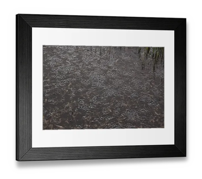 Framed Print : Rain droplets on water Framed Print : Rain droplets on water