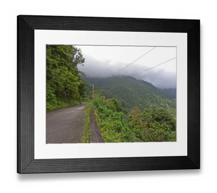 Framed Print : View of road through prime forest habitat, with rain clouds moving down mountain, Blue Mountains N. P Framed Print : View of road through prime forest habitat, with rain clouds moving down mountain, Blue Mountains N. P