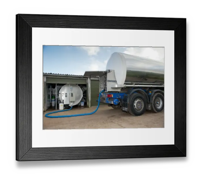Framed Print : Dairy farming, milk being collected off farm in tanker, England, november Framed Print : Dairy farming, milk being collected off farm in tanker, England, november