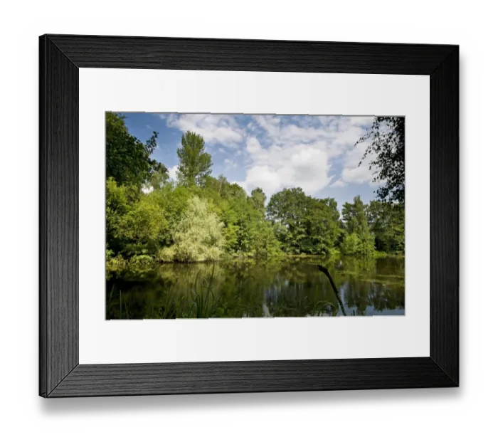 Framed Print : View of lake created from flooded former gravel pit, viewed from Carter Hide, North Lake, Sevenoaks Wildlife Reserve Framed Print : View of lake created from flooded former gravel pit, viewed from Carter Hide, North Lake, Sevenoaks Wildlife Reserve