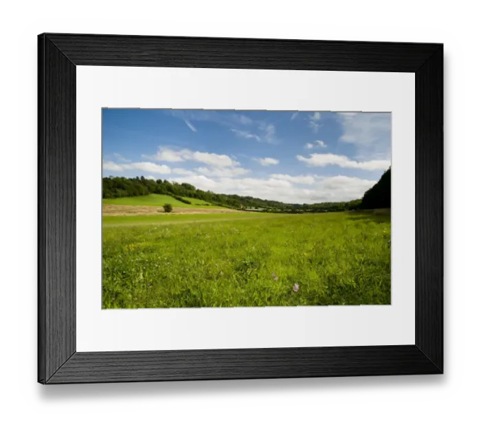 Framed Print : View of wildflower meadow habitat, between Cudham and Downe, North Downs, Kent, England, august