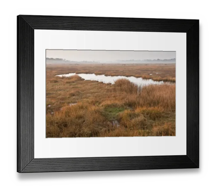 Framed Print : View of coastal wetland pasture, reedbeds and pools, Cley Marshes Reserve, Cley-next-the-sea, Norfolk, England, march