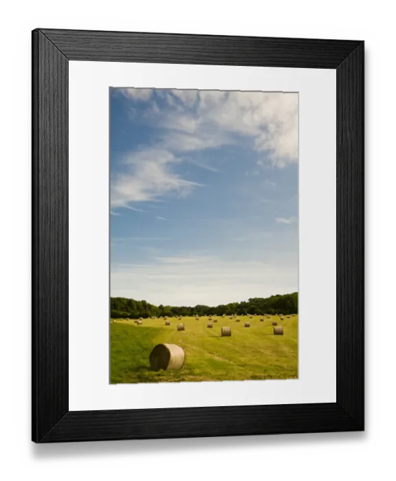 Framed Print : Round hay bales in meadow, Cudham, North Downs, Kent, England, august Framed Print : Round hay bales in meadow, Cudham, North Downs, Kent, England, august