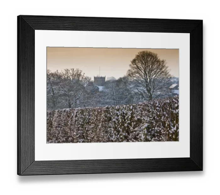 Framed Print : Snow covered hedgerow and tree in evening, with church tower in distance, Chipping, Lancashire, England, december Framed Print : Snow covered hedgerow and tree in evening, with church tower in distance, Chipping, Lancashire, England, december